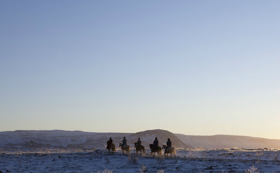Horseback riding in Iceland in winter