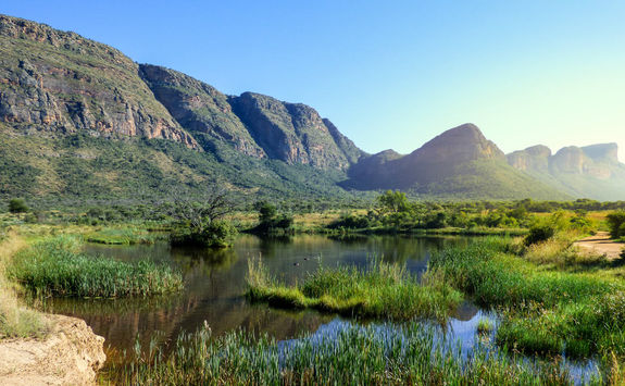 View of swamp with hippos and a mountain range