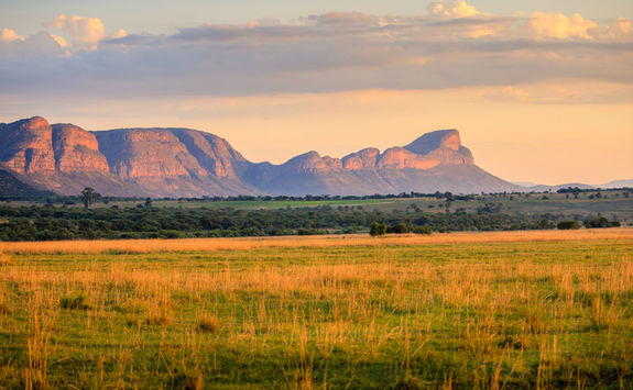 Waterberg mountains under sunrise