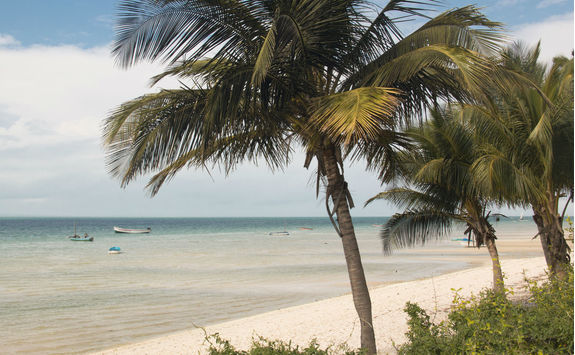 Beach of Vilanculos with palm trees