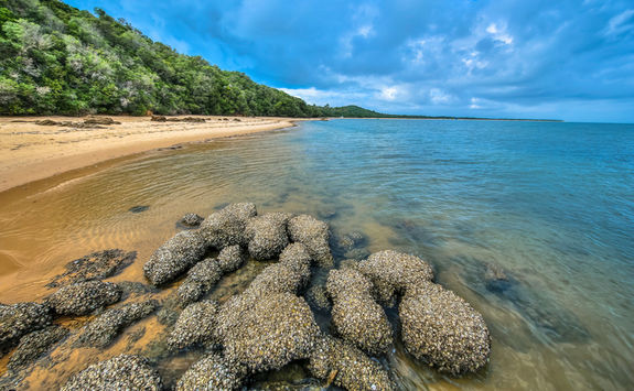 Inhaca Island