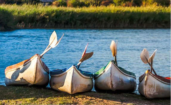 Kayaks