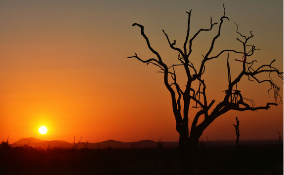 Sunset in Madikwe