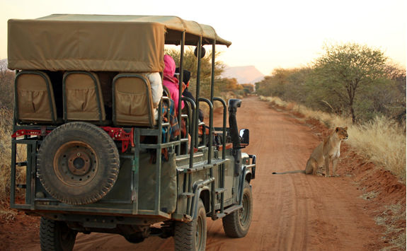 Morning Game Drive