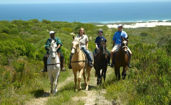 Horse riding on the reserve