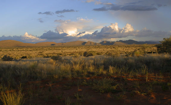 Tswalu view