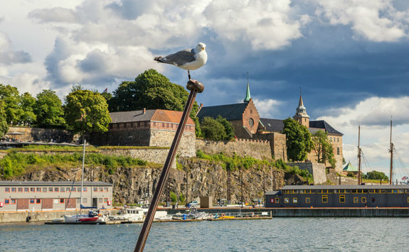 Seagull and Akershus fortress