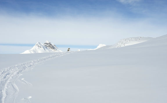 Ski tracks left by back country skiers in Jotunheimen
