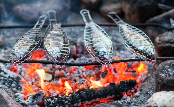 Grilling fish on campfire