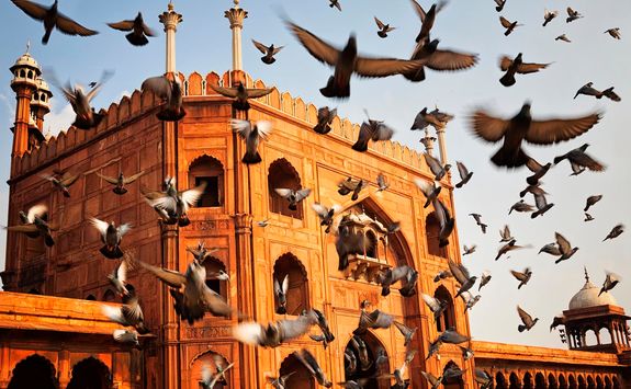 Jamar Masjid, Old Delhi