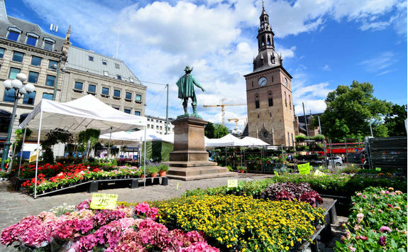 Flower market in Oslo