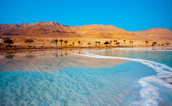 Dead Sea with Palm Trees in Jordan