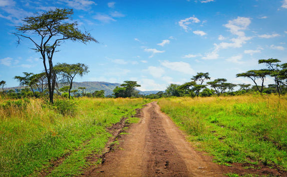 Akagera National Park