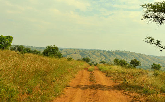 Akagera National Park
