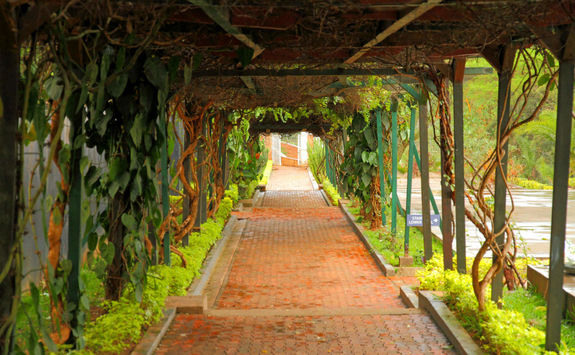 Genocide Memorial walkway