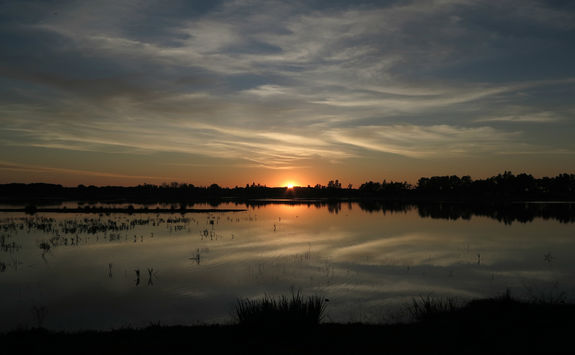Sunset in Donana