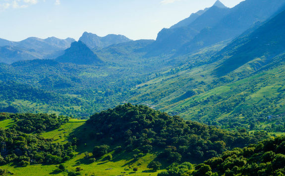 Sierra de Grazalema from above