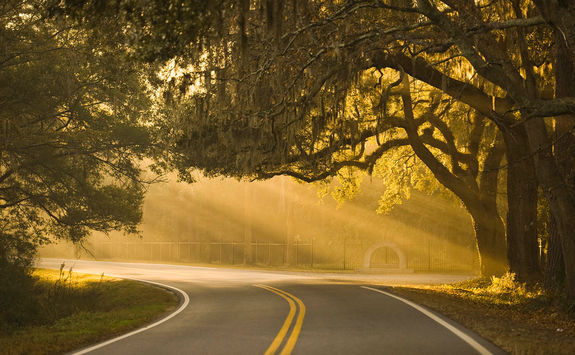 Road in Savannah