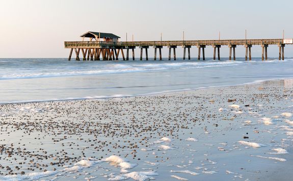 Tybee Island beach