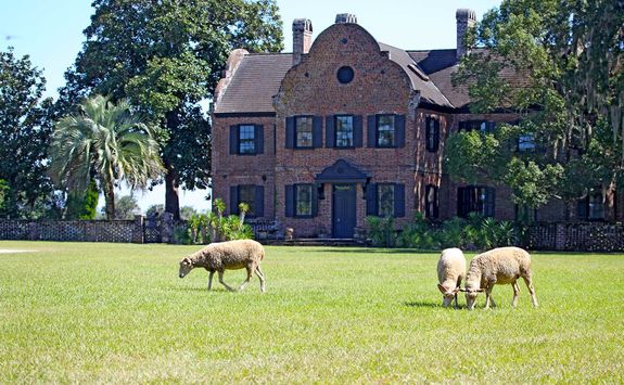 Middleton Place