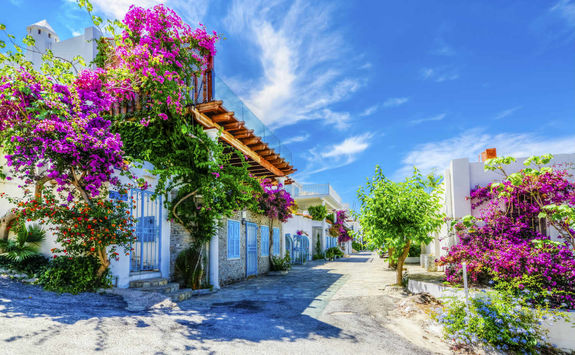 Floral Street in Bodrum