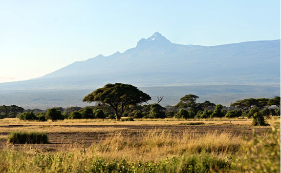 Mount Kenya and savannah