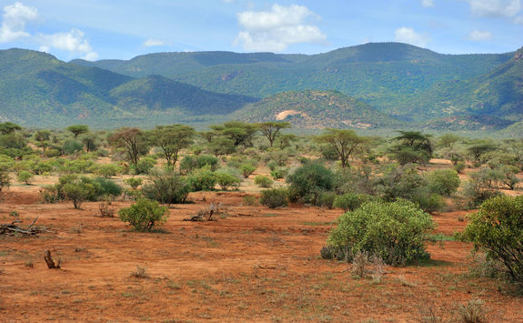 Laikipia plateau landscape