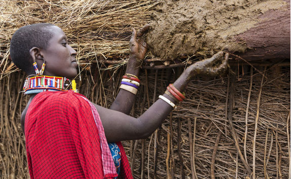 Maasai woman buiding hut putting cows dung on roof