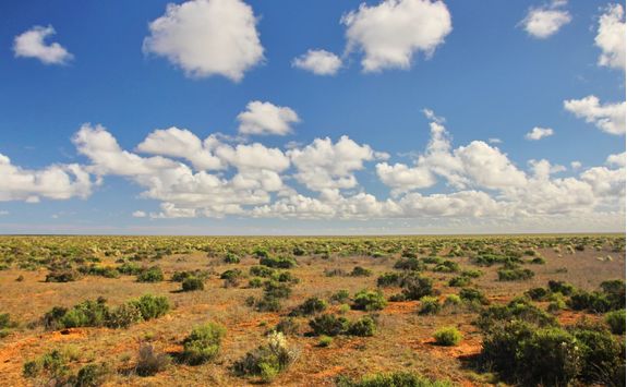 Australian outback