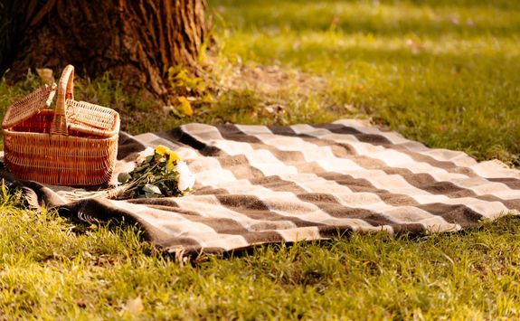 Picnic under a tree