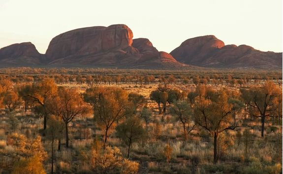 Close up of Kata Tjuta