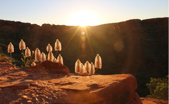 Sunrise at Canyon