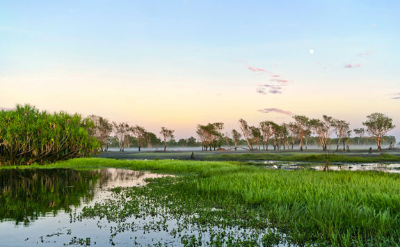 Sunrise over the yellow water billabong in Kakadu National Park