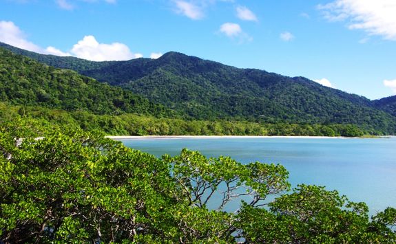Rainforest and beach