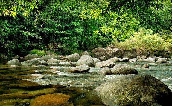 Mossman gorge