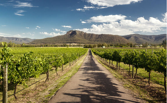 Hunter Valley vineyards