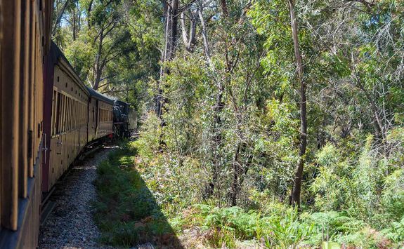 Train through the Blue Mountains