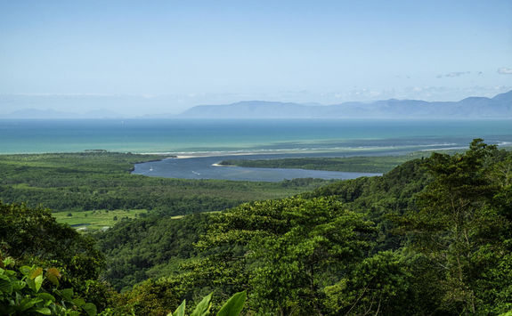 Aerial view of Daintree Forest