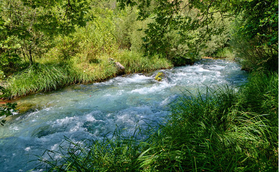 Lousios River