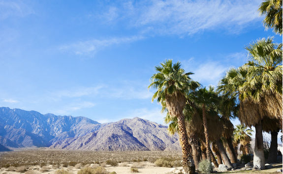 Palm Desert