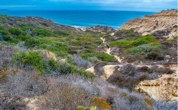 Torrey Pines State Reserve