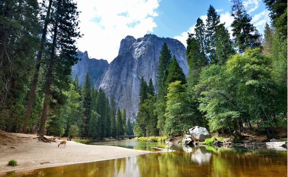 Lake in Yosemite National Park