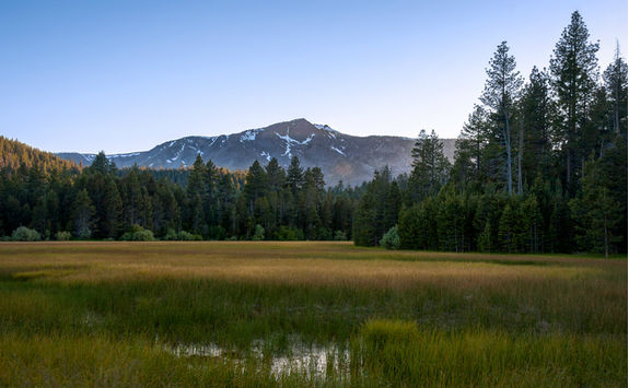 Agricultural field in Lake Tahoe