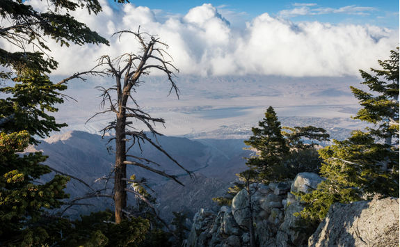 View of Chino Canyon from the Aerial Tramway