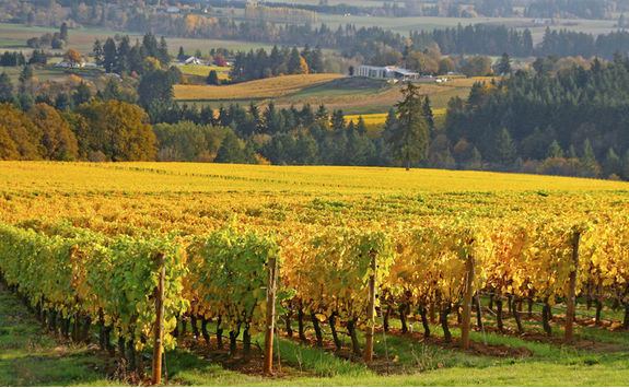 Willamette Valley in Oregon