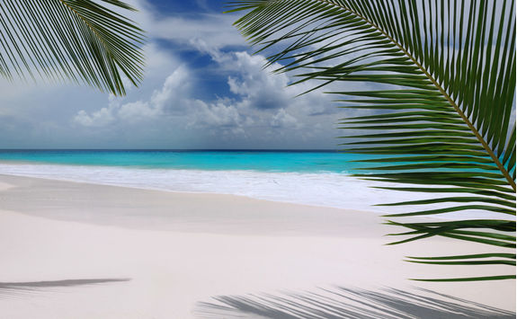 White Sand Beach