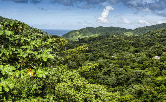 Aerial View of Etang National Park