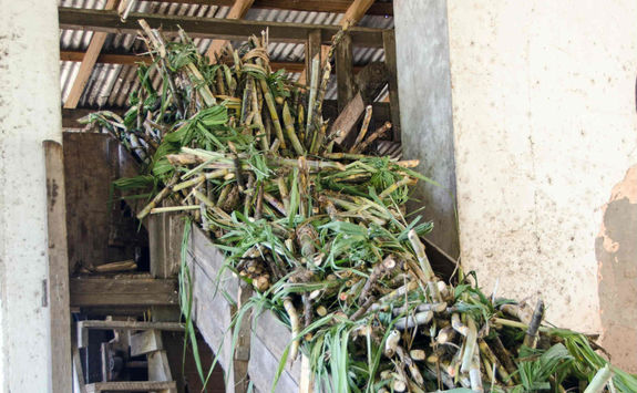 Rum Distillery