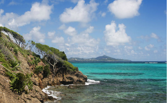Tobago Cays Marine Park