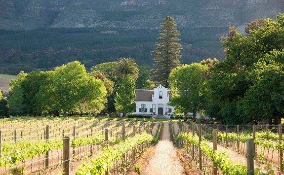 Cape Town winelands
